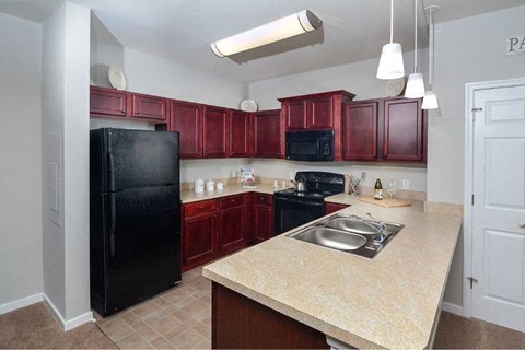 a kitchen with a black refrigerator and a sink