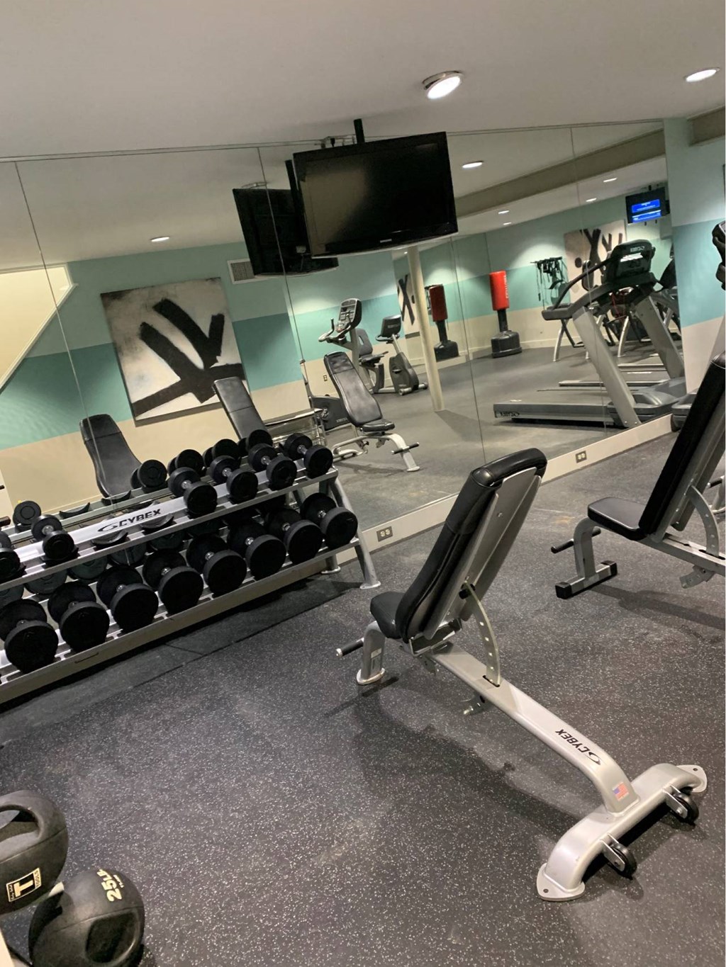 a gym with weights and a tv in the wall