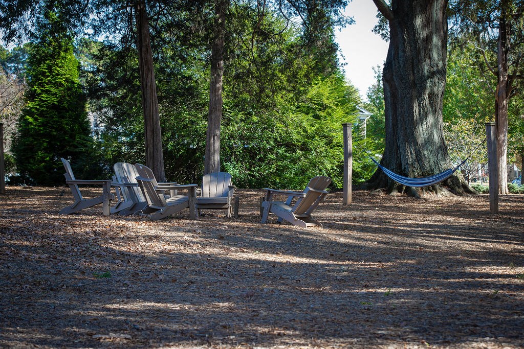 a group of chairs and hammocks in a park