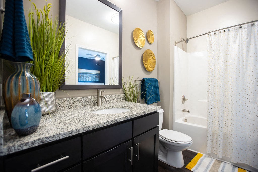 a bathroom with a sink and a toilet and a shower