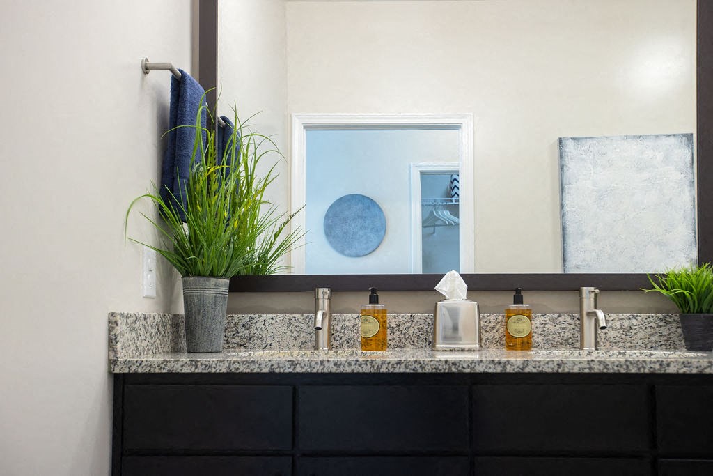 a bathroom sink with a mirror and a potted plant
