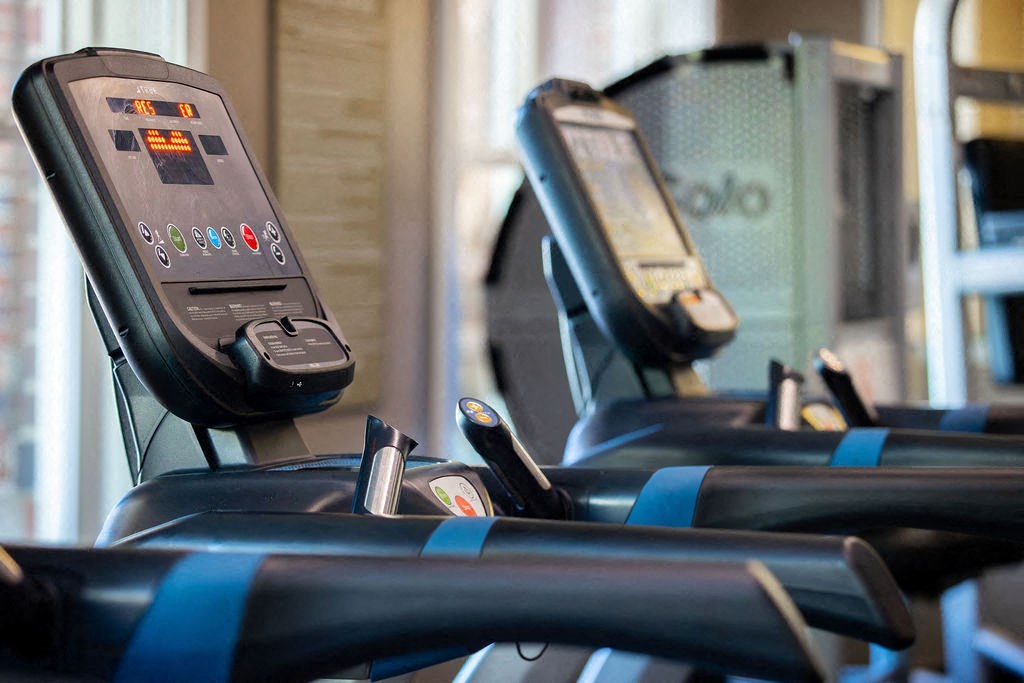 a row of cardio machines in a gym