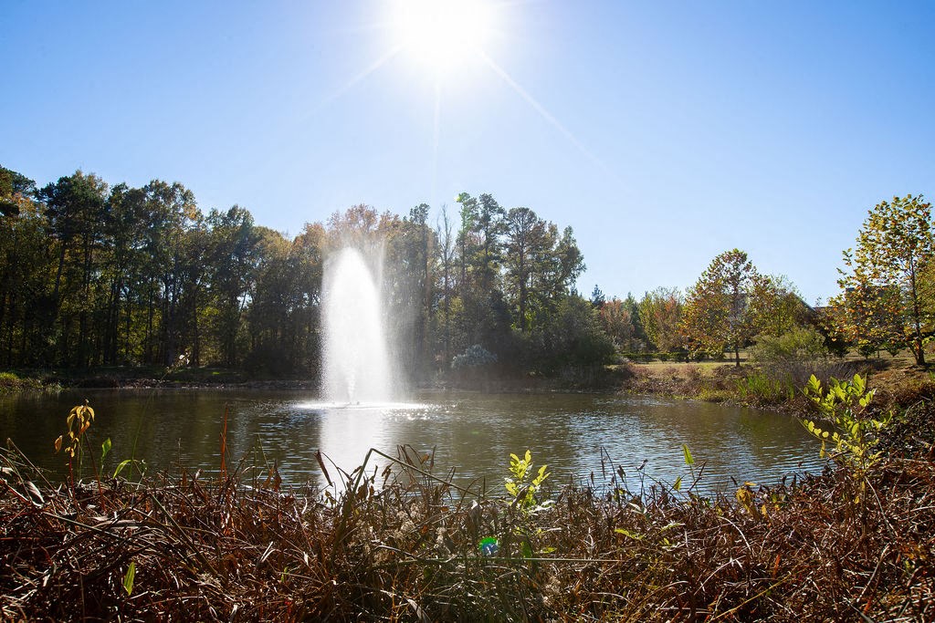 a fountain in the middle of a pond