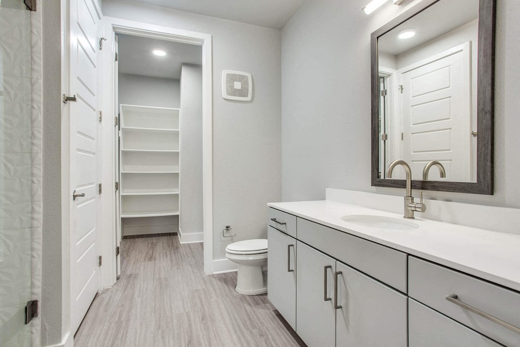 a bathroom with a toilet and a sink and a mirror
