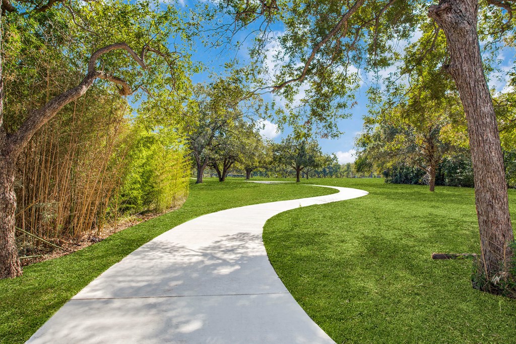 a concrete path through a park with grass and trees