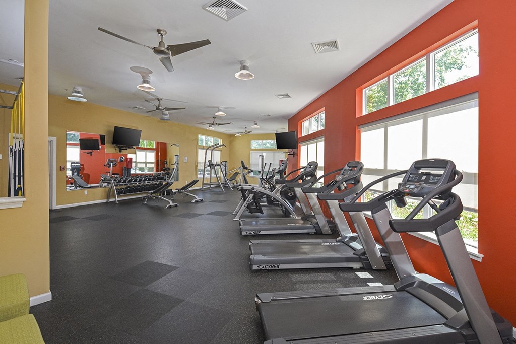 a gym with cardio equipment and windows at the enclave at university crossings apartments