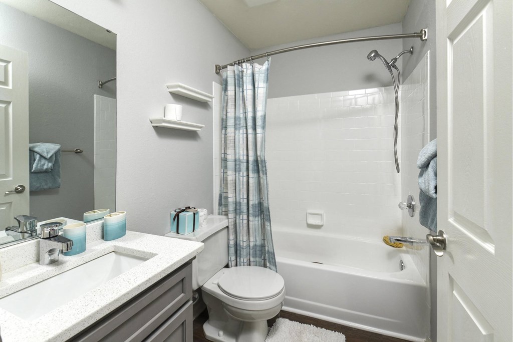 a bathroom with a shower toilet and sink
