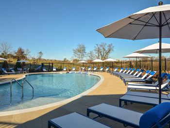 the swimming pool at the resort at governors residence