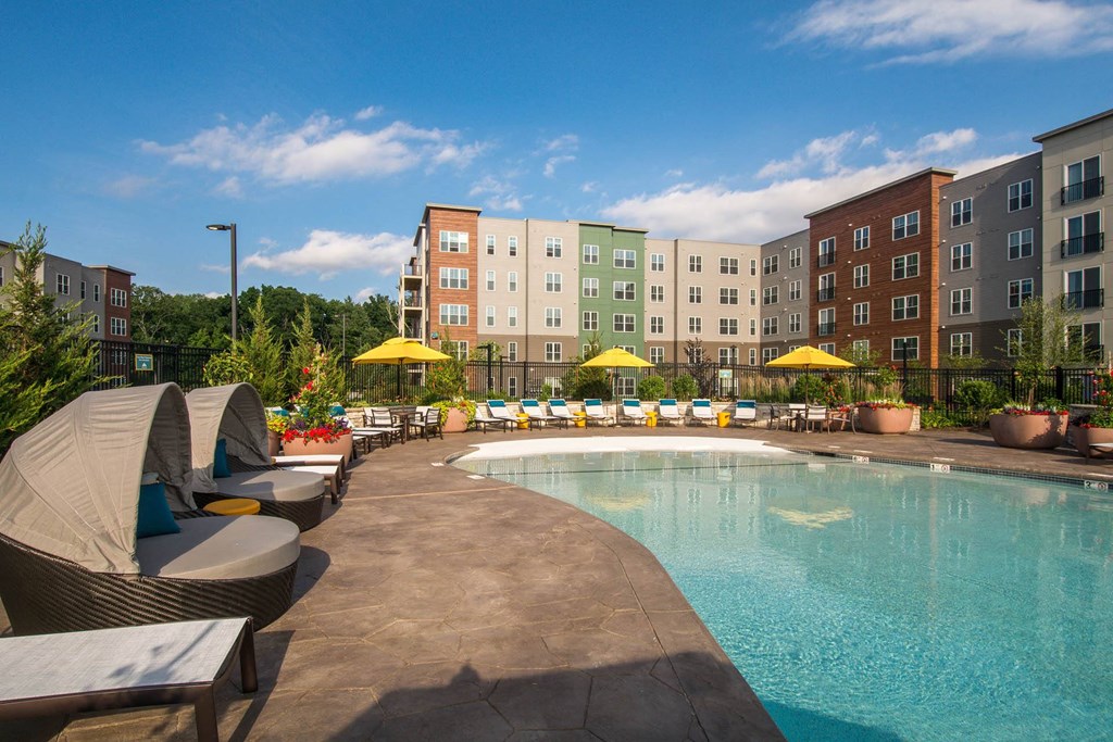 the swimming pool at the grove resort  spa