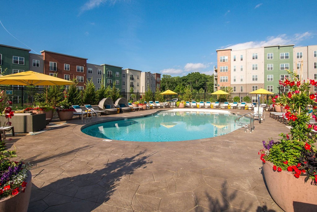 the swimming pool at the apartments for rent