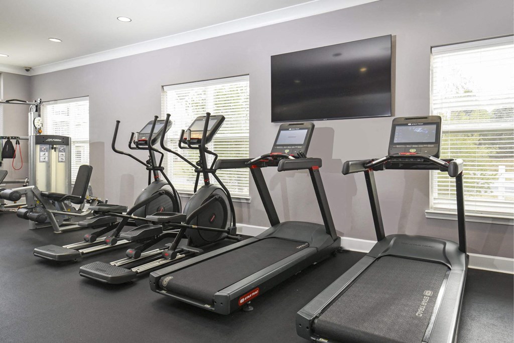 the gym is equipped with cardio equipment and a flat screen tv