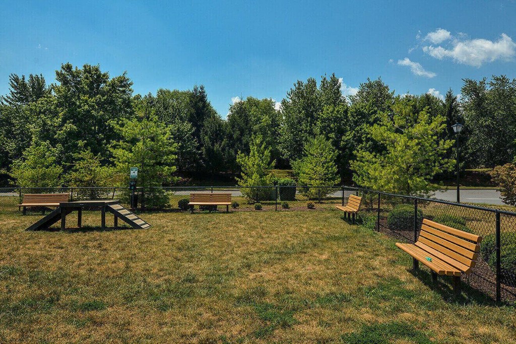 a park with benches and a picnic table