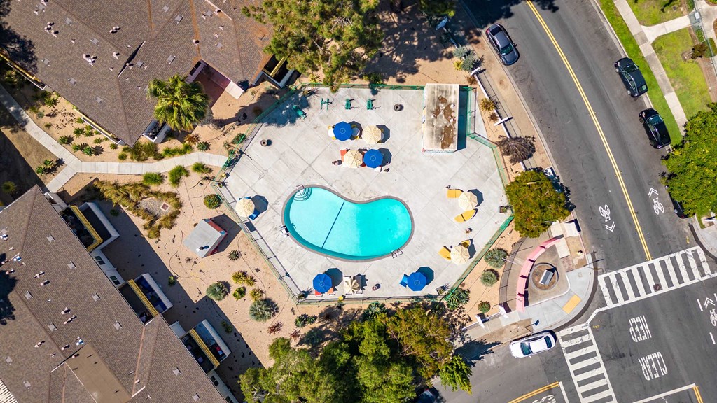 an overhead view of a swimming pool in the middle of a park