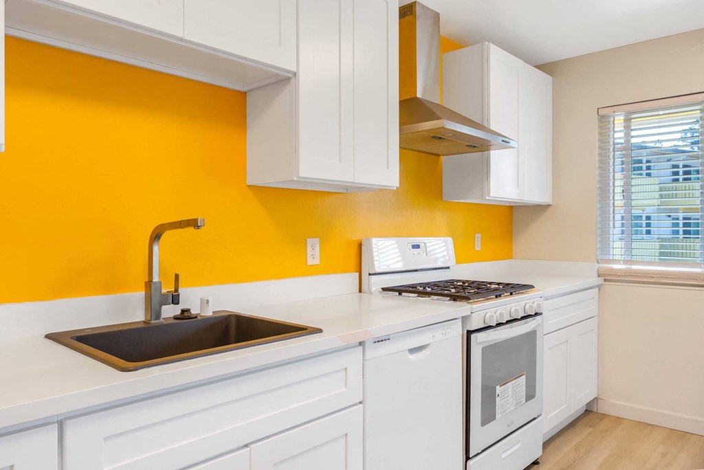 a kitchen with a sink and a stove and a window