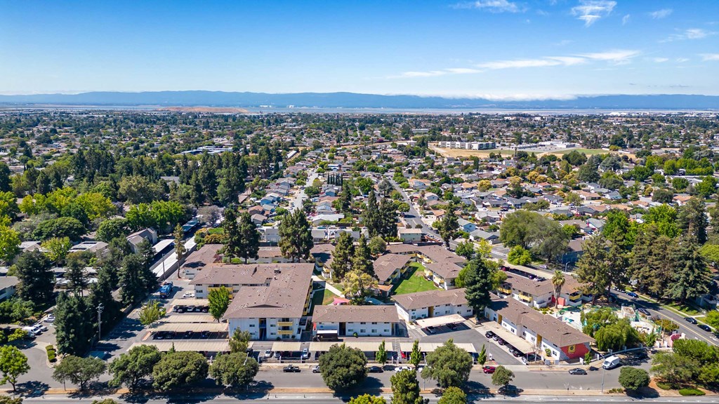an aerial view of a neighborhood with houses and trees