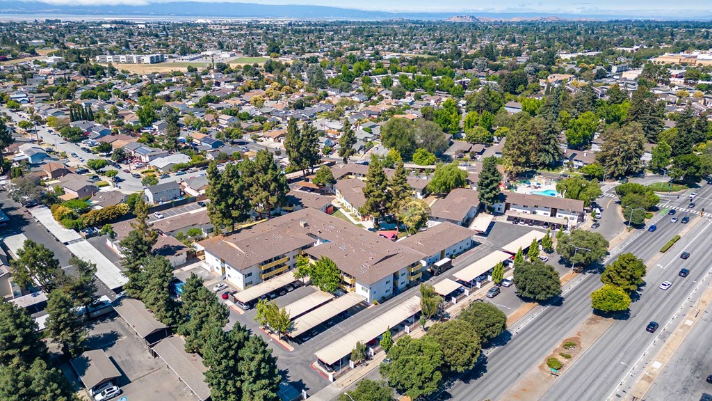 an aerial view of a neighborhood with houses and trees