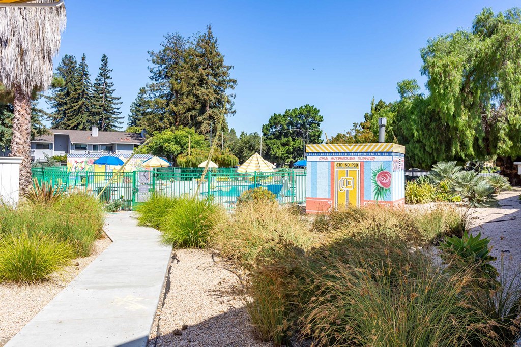 a garden with a pool and a fence with umbrellas