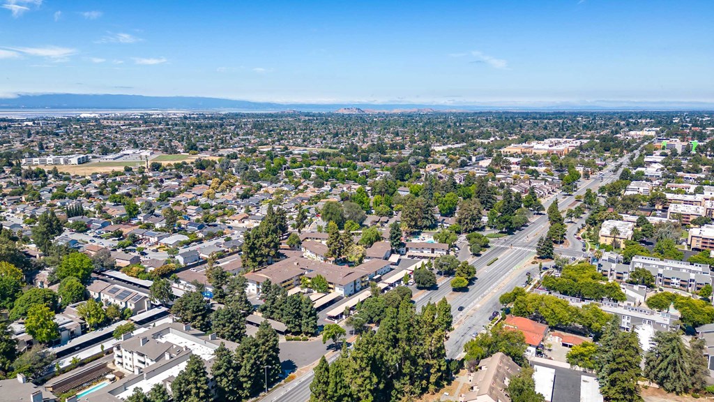 an aerial view of a city with houses and trees