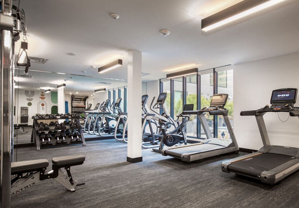 a gym with cardio equipment and weights in a building