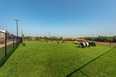 a dog park with agility equipment on the grass