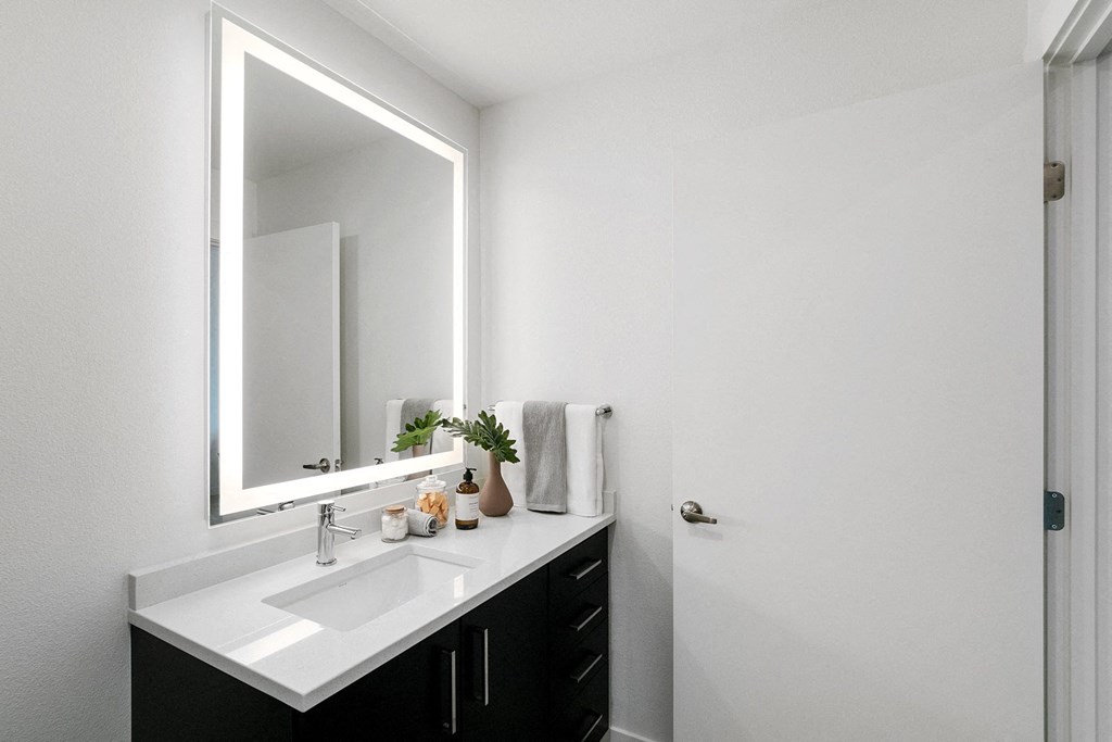 a bathroom with a sink and a mirror