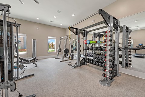 a home gym with weights and dumbbells