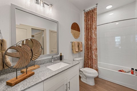 a bathroom with a shower toilet and sink and a mirror
