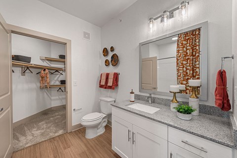 a bathroom with a toilet and a sink and a mirror