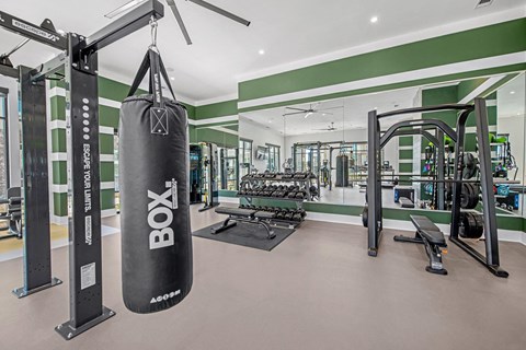 a gym with a punching bag and weights in it