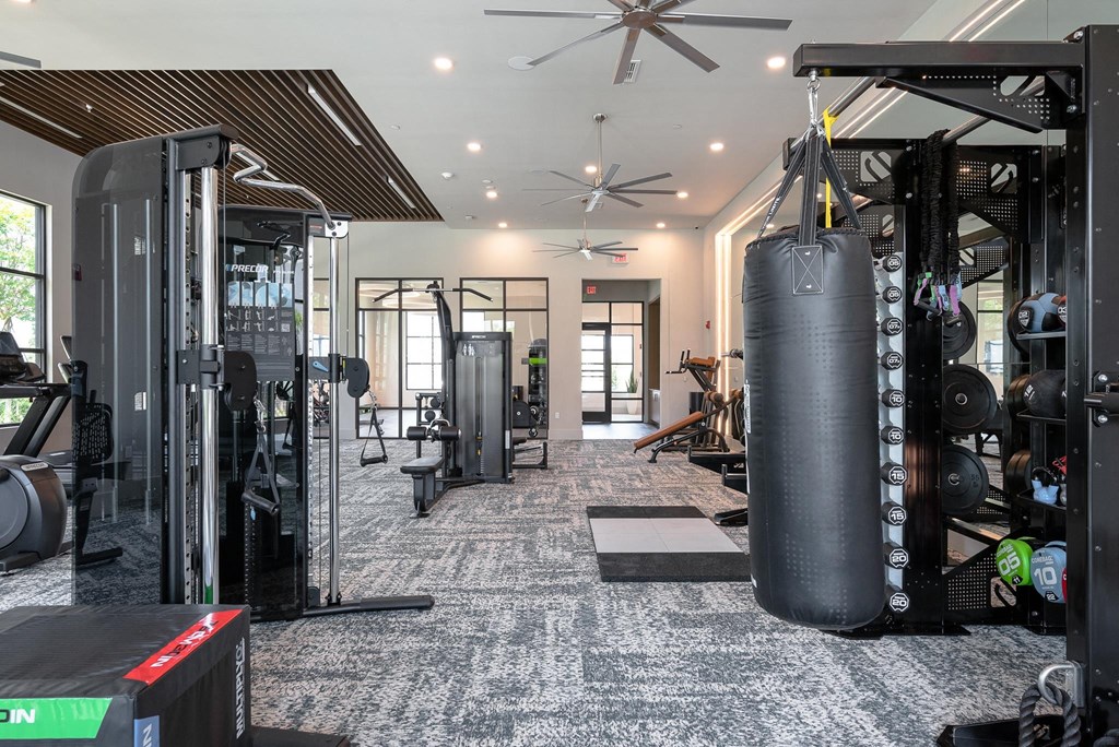 a home gym with a punching bag in the middle of the room