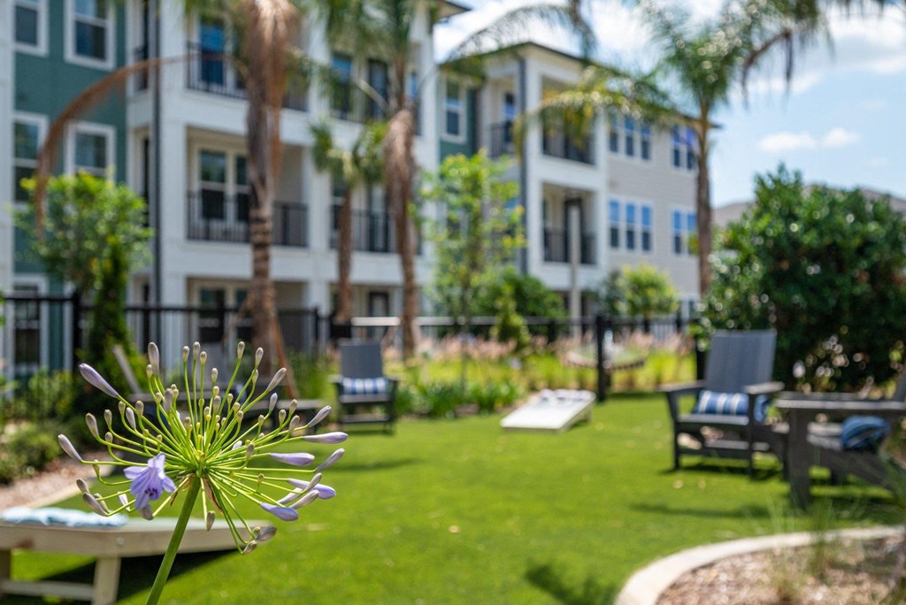 a view of the courtyard of a building with a flower in the foreground