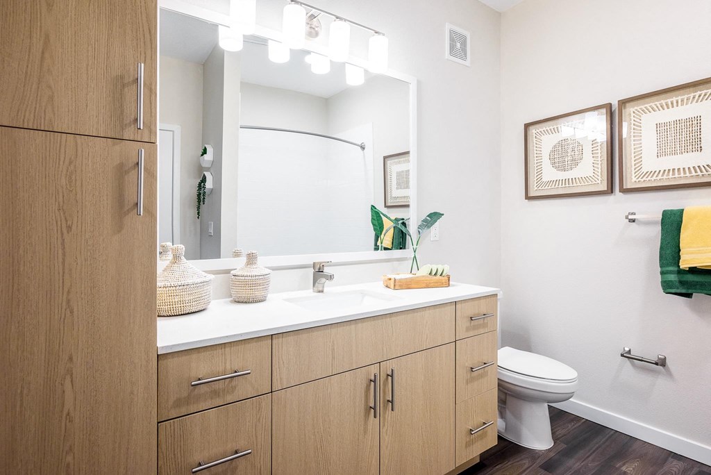 a bathroom with a sink and a mirror and a toilet