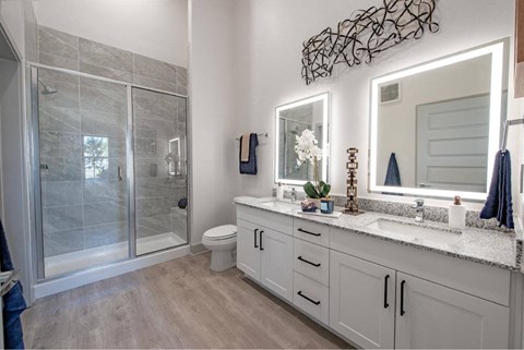 a bathroom with a shower and a sink and a mirror