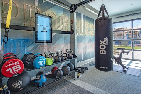 a gym with weights and a punching bag in front of a window