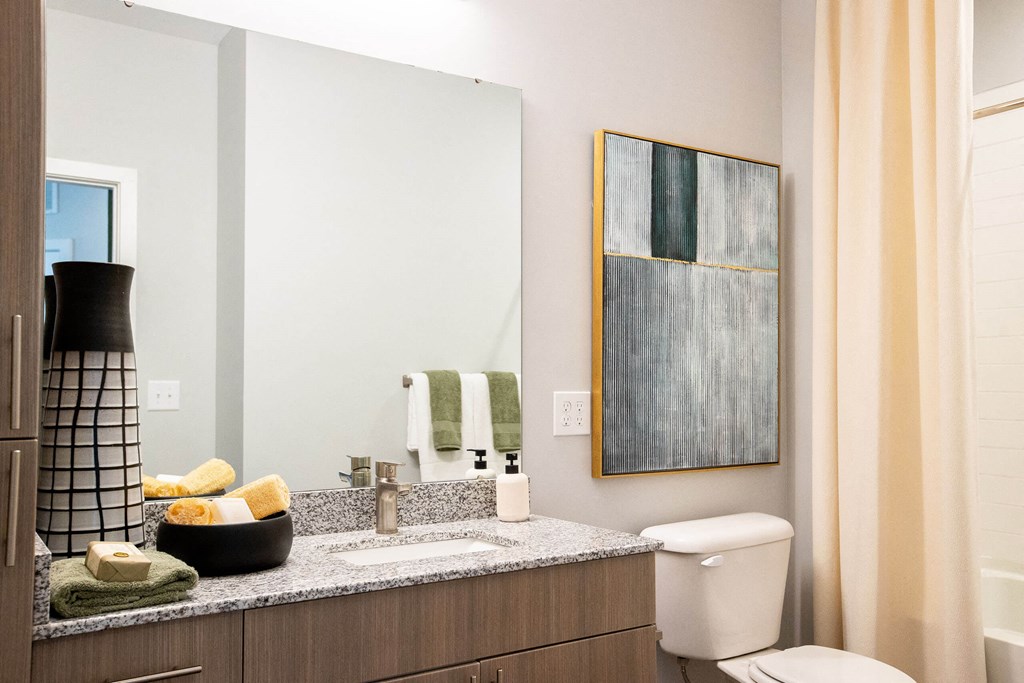 a bathroom with a toilet and a sink and a mirror