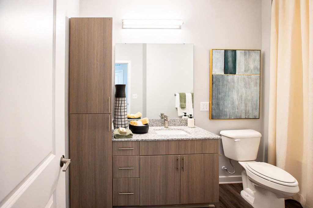 a bathroom with a toilet and a sink and a mirror