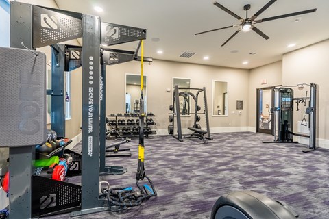 a home gym with weights and equipment and a ceiling fan