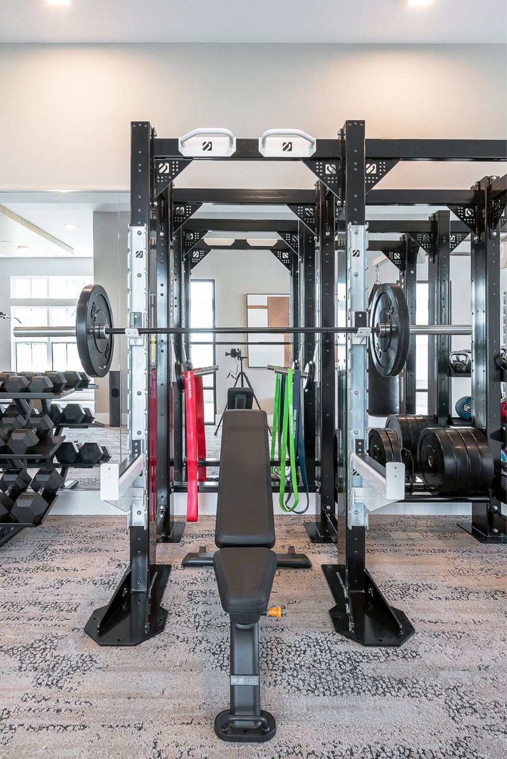 a gym with weights and cardio equipment in a home gym