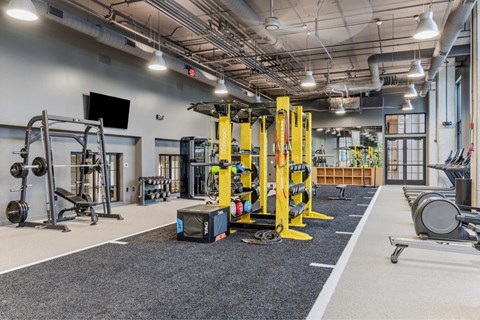 a gym with weights and cardio equipment on the floor and a wall of windows