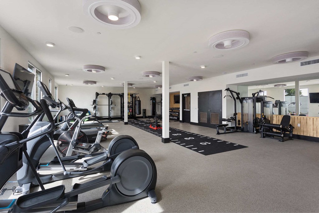 the gym is equipped with cardio equipment and weights