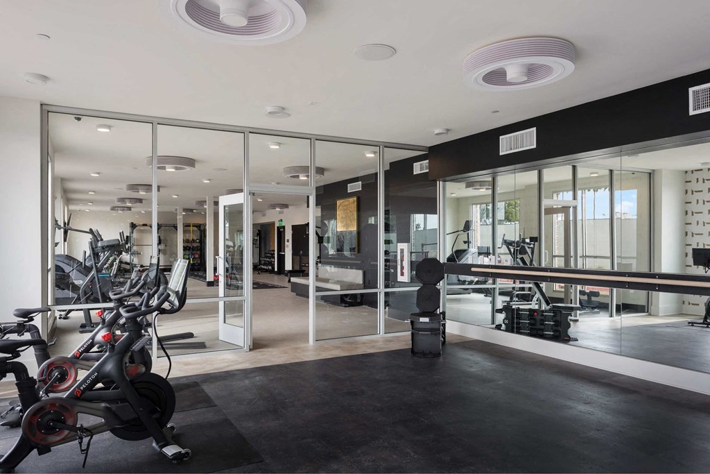 the home has a gym with glass walls and a workout area
