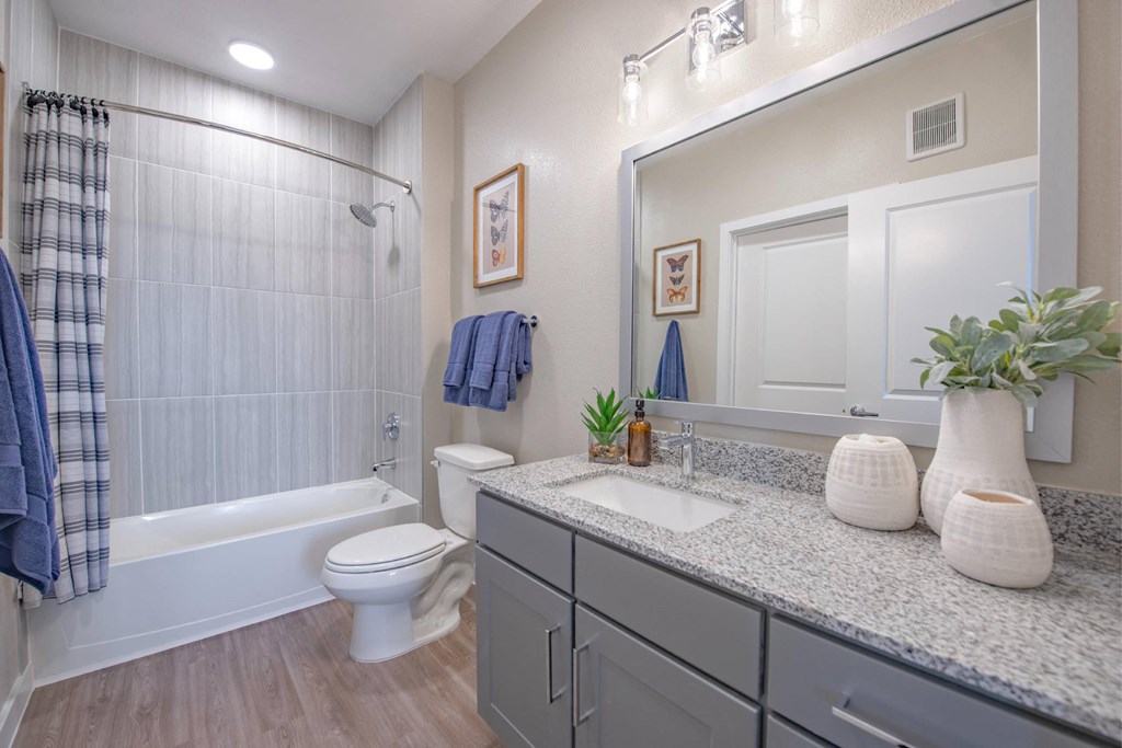 a bathroom with a shower toilet and sink and a mirror