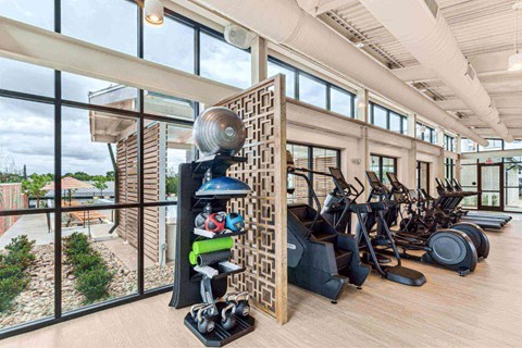the gym is equipped with a slew of weights and cardio equipment