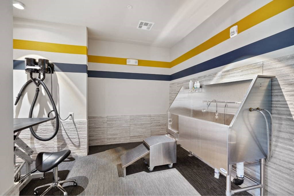 a bathroom with a tub and a sink and a tripod