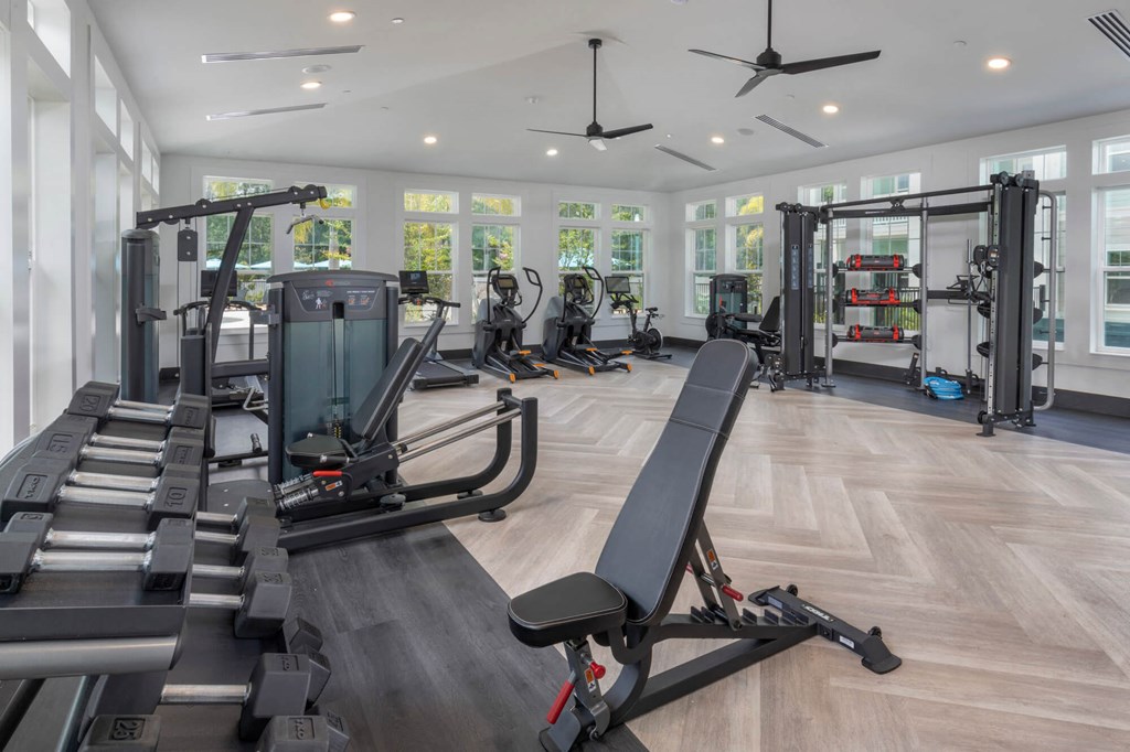 the gym is equipped with treadmills and other gym equipment