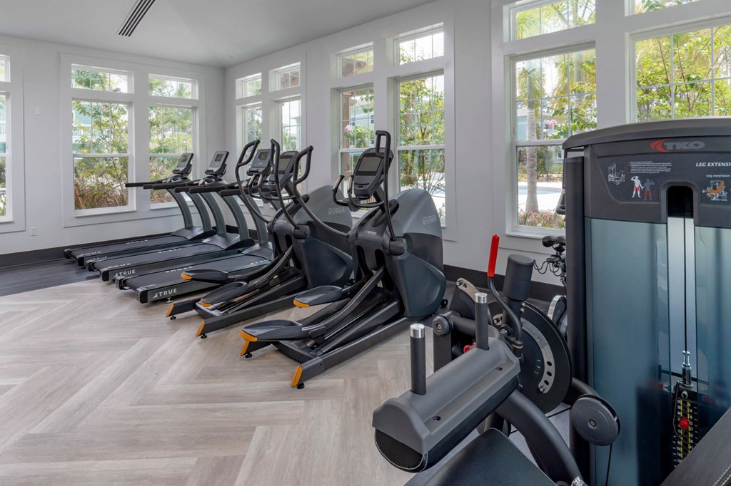 a row of cardio machines in a gym with windows