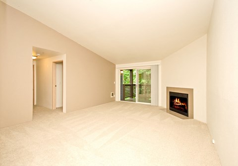 Plush Carpeting at Vista Ridge, Washington, 98027