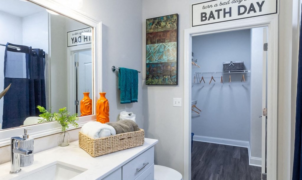 a bathroom with a mirror and a sink and a shower