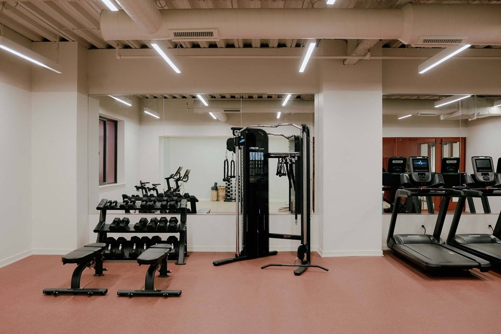 a gym with weights and other equipments in a room