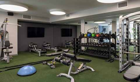 a gym with weights and a blue ball on the floor